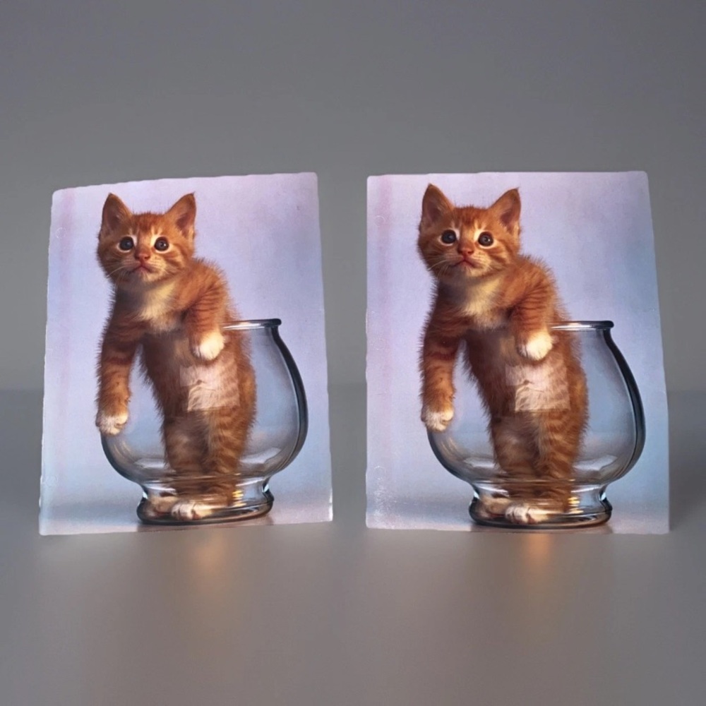 Vintage G.K. & Vikki Hart Photography Mead Portfolio Folder Cat Purrs &‎ Grrrs 2